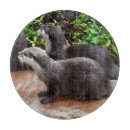 Suche nach otter schneidebrettchen Tier