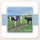 Suche nach weide untersetzer Rinder