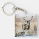 Suche nach maultiere schlüsselanhänger Tierwelt