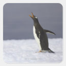 Suche nach gentoo aufkleber Tier