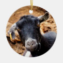 Suche nach niedliche ziege ornamente Ziegen
