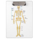 Suche nach anatomie klemmbrett Tot