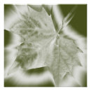 Suche nach grüntöne poster Blatt