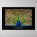 Suche nach bunte federn poster Vogelvogel