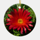 Suche nach teppich ornamente Blumenreich