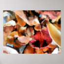 Suche nach getrocknete blumen poster Natur