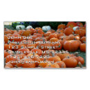 Suche nach november visitenkarten Jede person