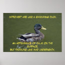 Suche nach duck poster Wasser