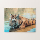 Suche nach bengalischer tiger puzzle Dschungel