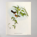 Suche nach gould poster 19