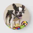 Suche nach boston terrier wanduhren Hund