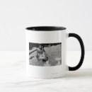 Suche nach hawaii kaffee tassen Fotografie