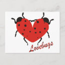 Suche nach lovebug Käfer