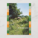 Suche nach ort postkarten Bäume