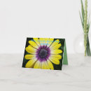 Suche nach bewunderung karten Für sie