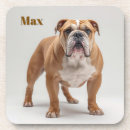 Suche nach bulldogge mit untersetzer Jede person