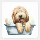 Suche nach labradoodles aufkleber Jede person