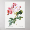 Suche nach für botaniker poster Vintage illustration