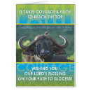 Suche nach afrikanischer büffel postkarten Tier