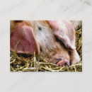Suche nach schwein visitenkarten Haken