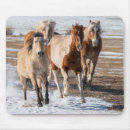 Suche nach pinto pferd mousepads Bauernhof