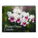 Suche nach orchidee kalender Büro