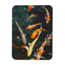 Suche nach koi teich magnete Orange