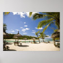 Suche nach mauritius poster Baum