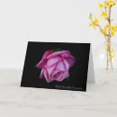 Suche nach rosen rose beileidskarten Liebe