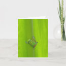 Suche nach grüner gecko karten Tiere