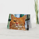 Suche nach funny cat karten Katze