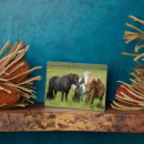 Suche nach wieser fotoplatten Ranch