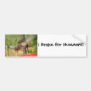 Suche nach lustiger vogel autoaufkleber Tier