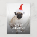Suche nach mops geschenke Hund