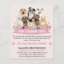 Suche nach hunde flyer Tierarzt