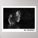 Suche nach weibliches tier poster Vogel