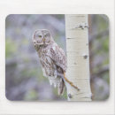 Suche nach graue eule mousepads Strix nebulosa