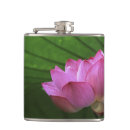 Suche nach japan flachmänner Blume