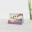 Suche nach geflügel karten Kanadengas