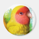 Suche nach lovebird magnete Papagei