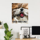 Suche nach tzu poster Hund