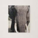 Suche nach abu puzzle Afrika