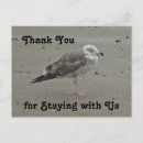 Suche nach seelöwe postkarten Gäste