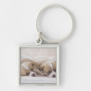 Suche nach waliser schlüsselanhänger Natur
