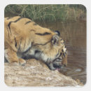 Suche nach panthera tigris aufkleber Im freien