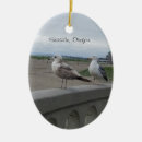 Suche nach seemöwen ornamente Küste
