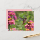 Suche nach kolibris postkarten Für sie