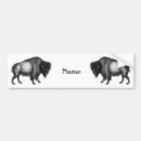 Suche nach bison autoaufkleber Gelbstein