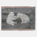Suche nach polar decken Bären