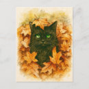 Suche nach katzenbilder postkarten Niedliche katze